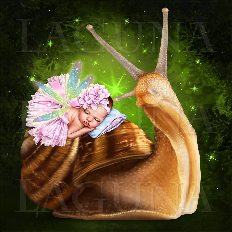 Baby Fairy and Snail