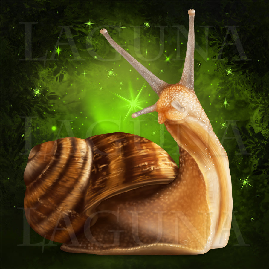 Baby Fairy and Snail