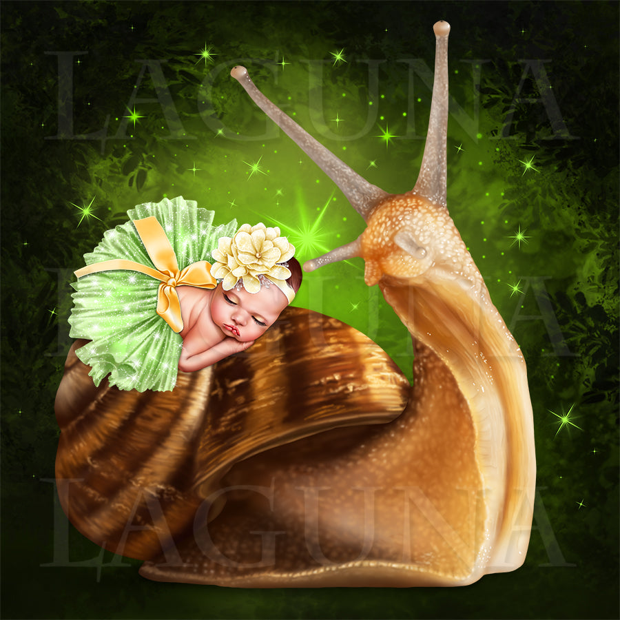 Baby Fairy and Snail