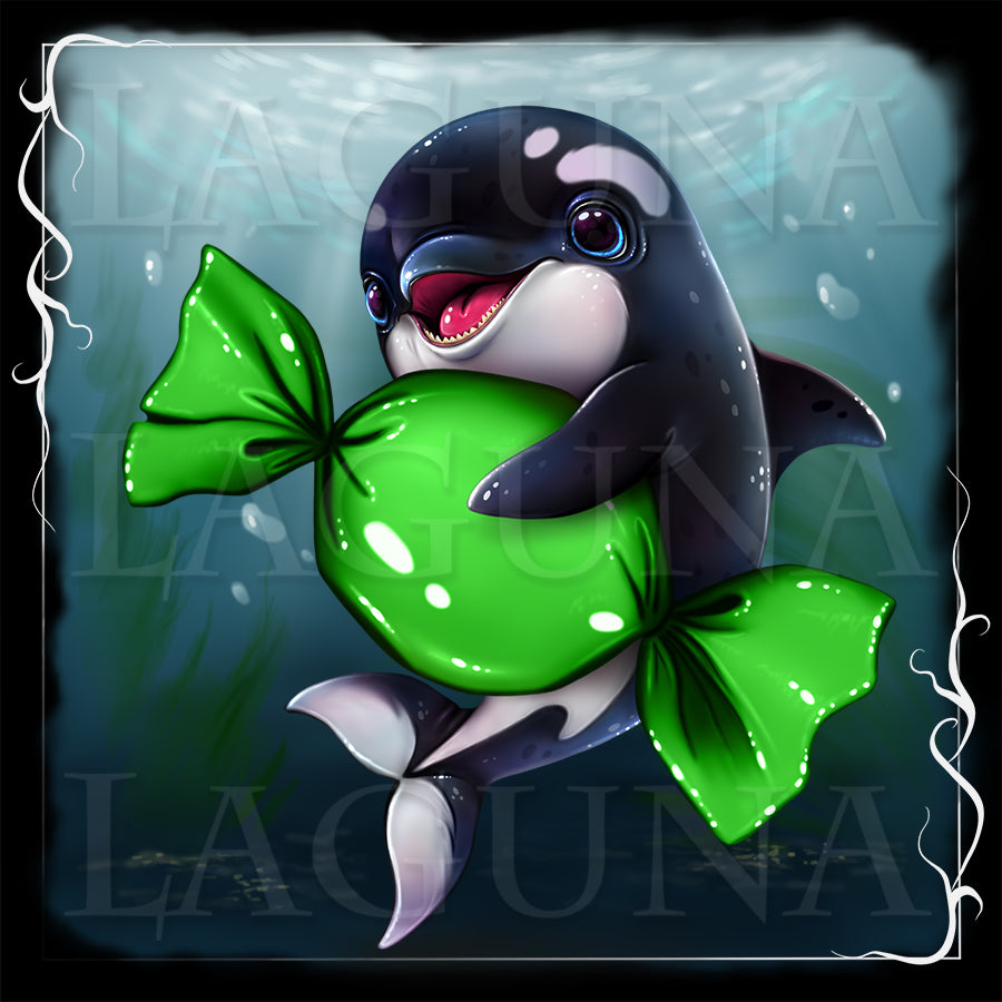 Baby Orca with Candy
