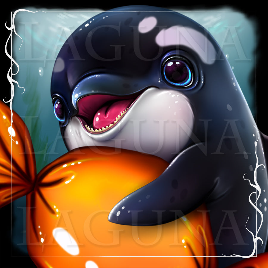 Baby Orca with Candy