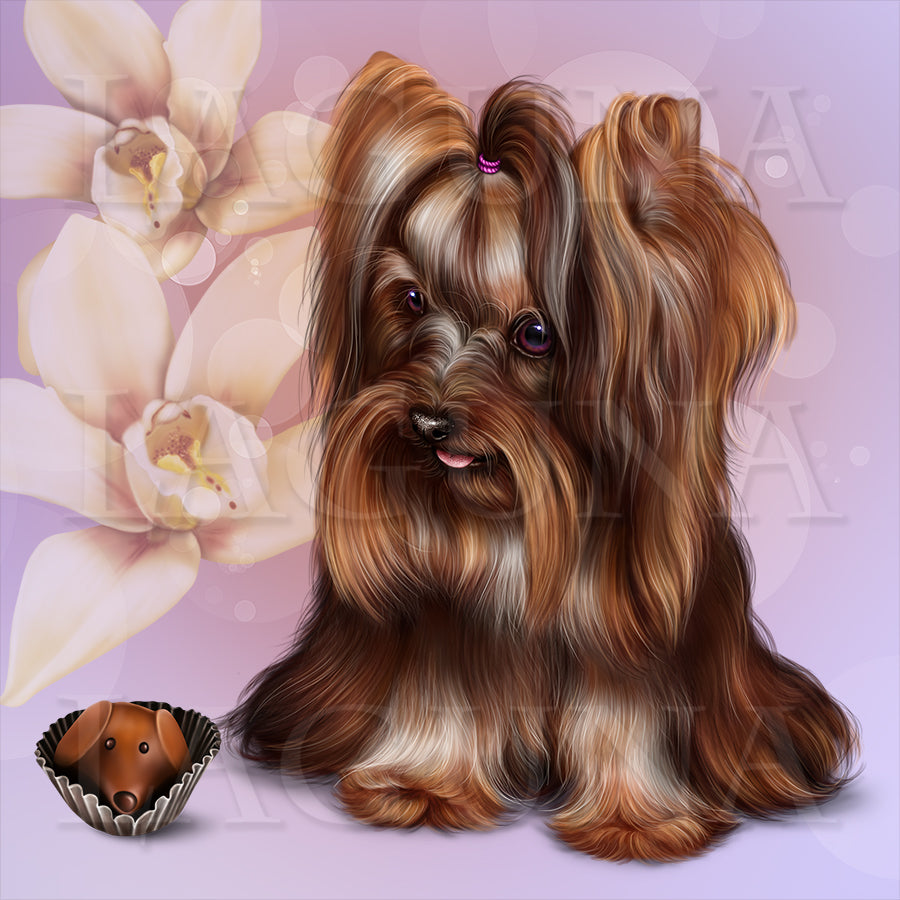 Barking Chocolate