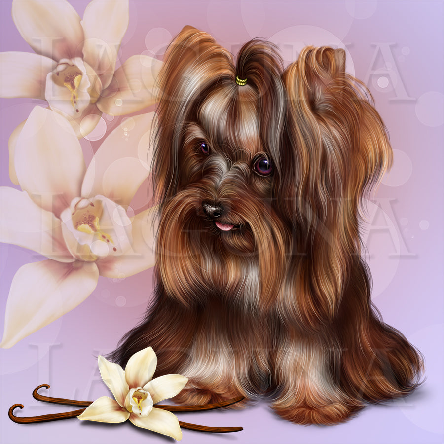 Barking Chocolate