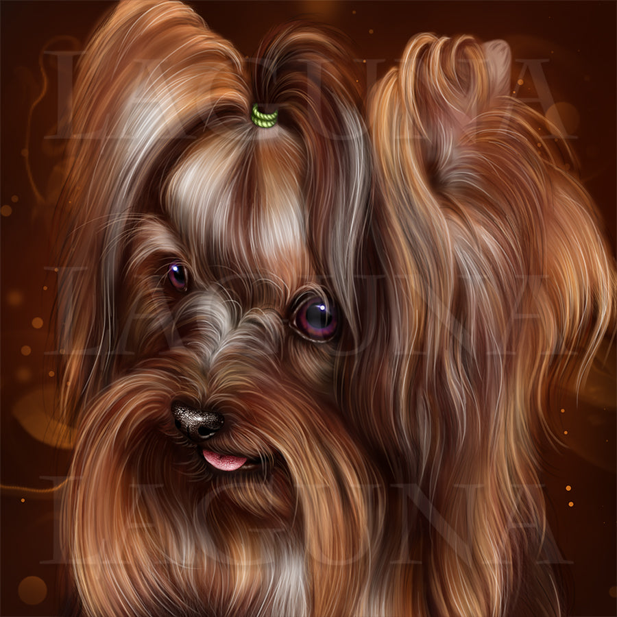 Barking Chocolate