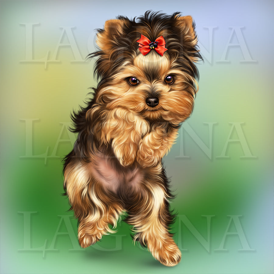 Bee Yorkie