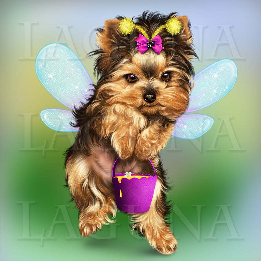 Bee Yorkie