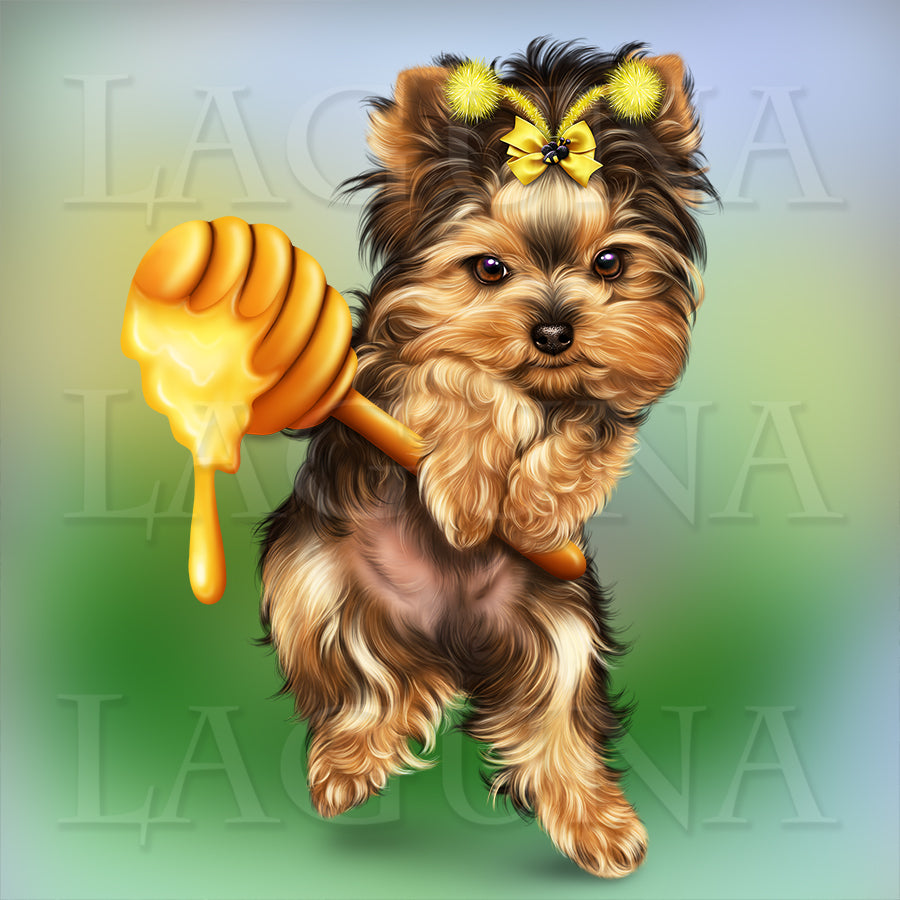 Bee Yorkie