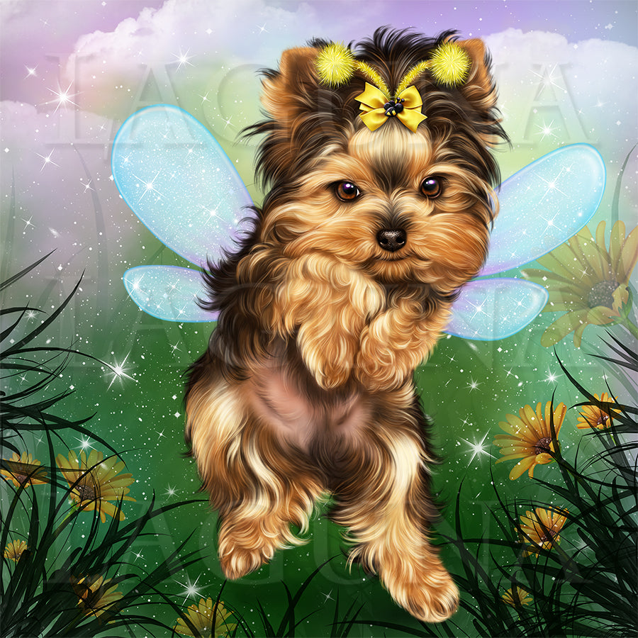 Bee Yorkie