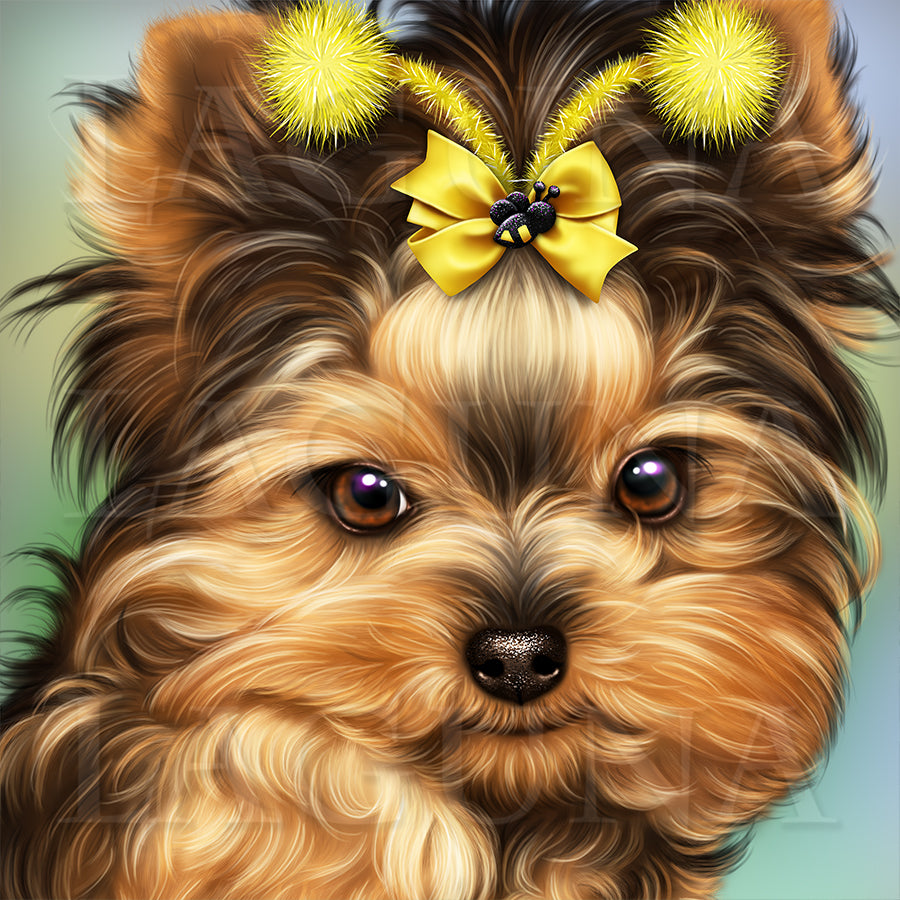Bee Yorkie