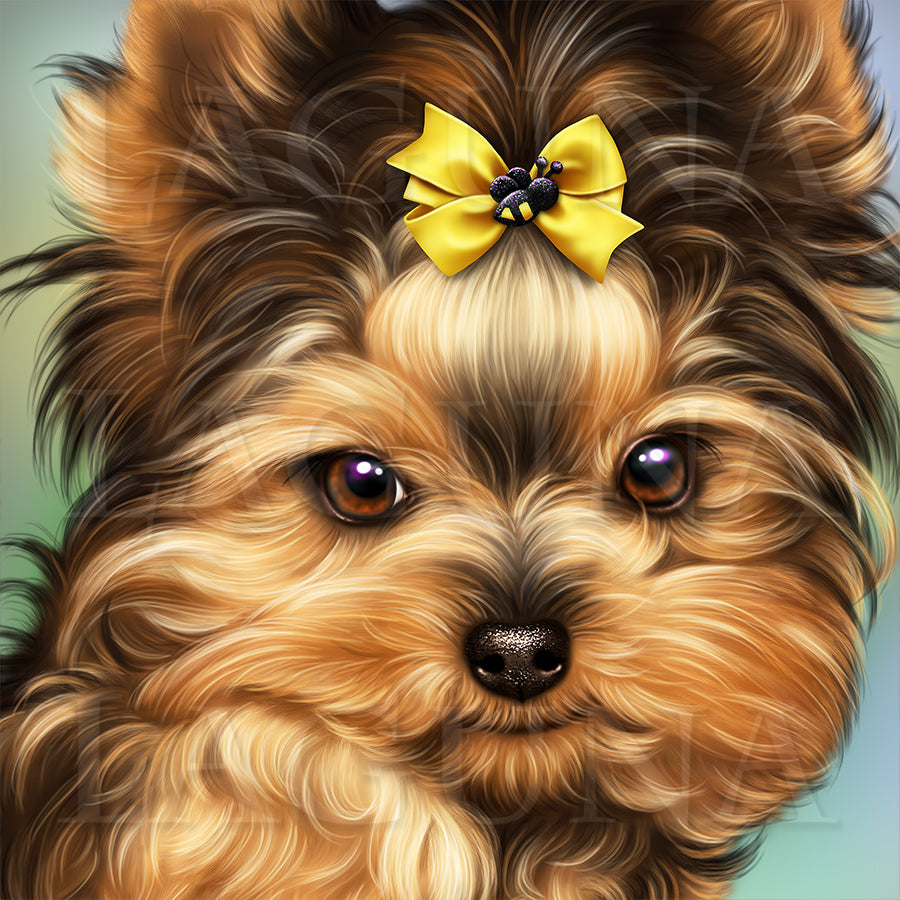 Bee Yorkie
