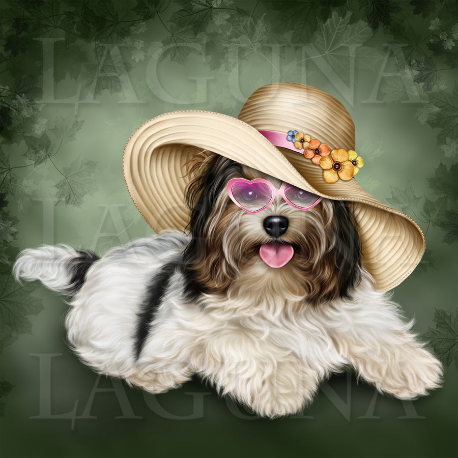 Biewer Yorkie