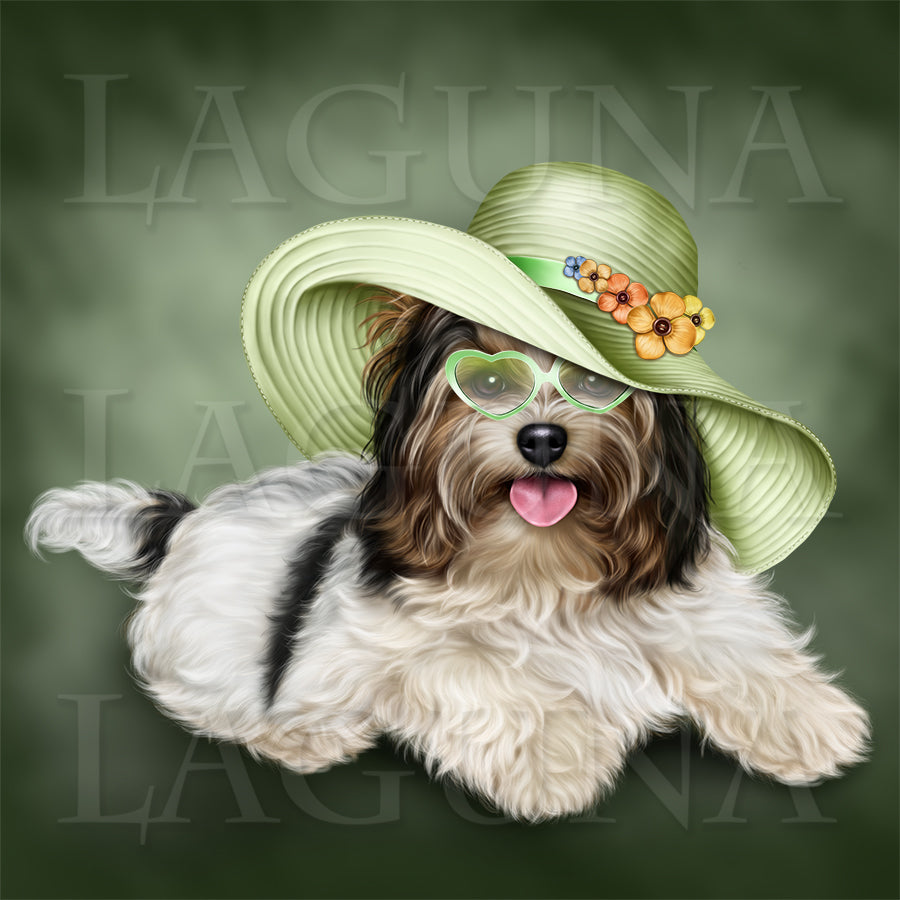 Biewer Yorkie