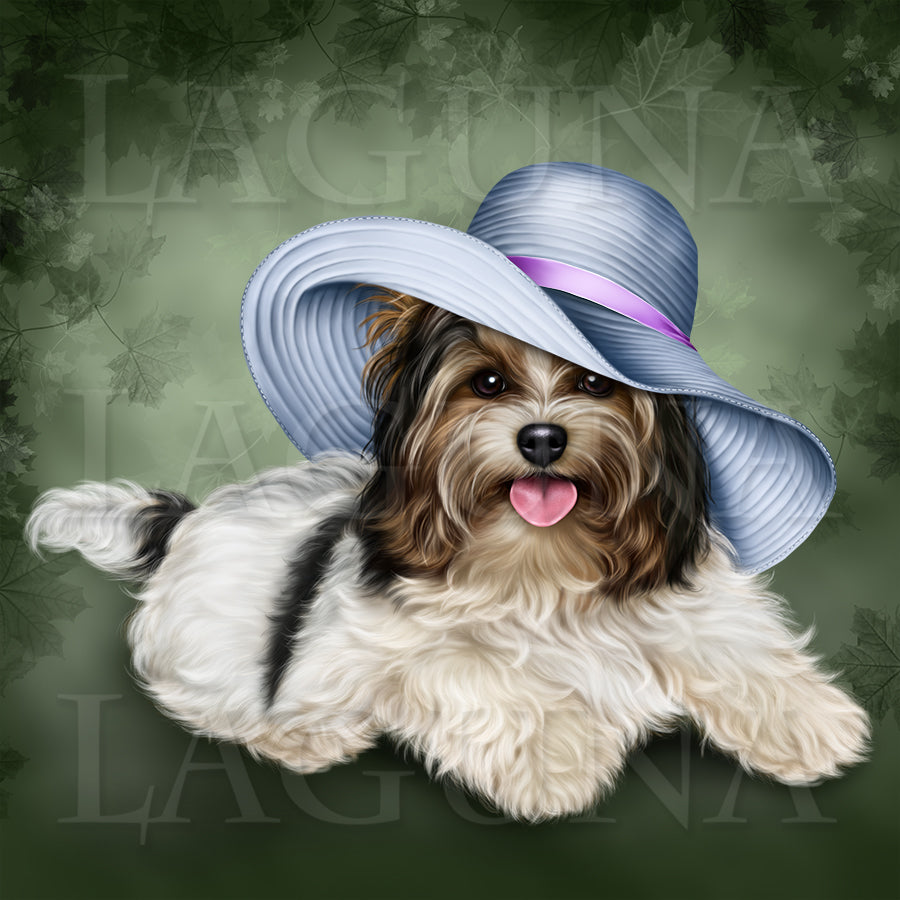 Biewer Yorkie