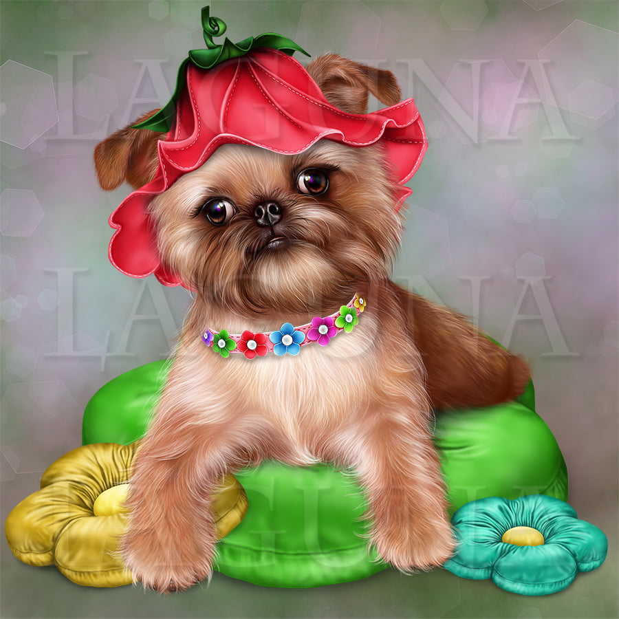 Brussels Griffon Puppy