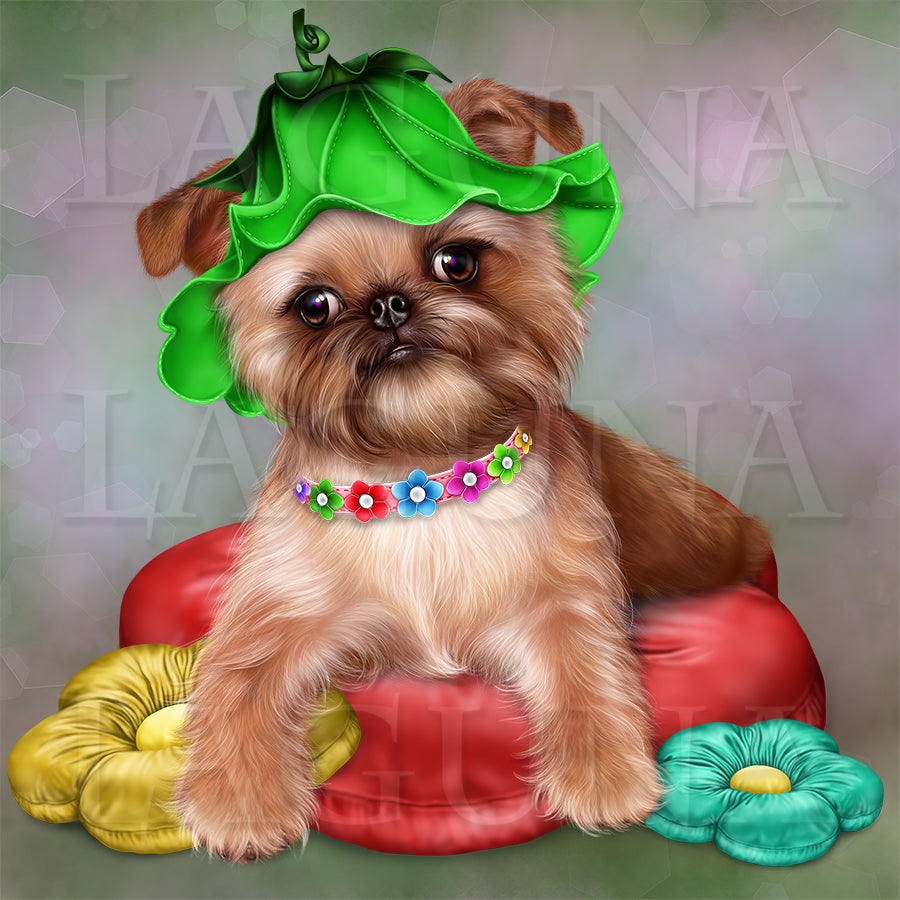 Brussels Griffon Puppy