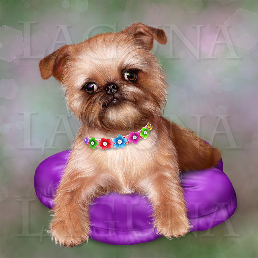 Brussels Griffon Puppy