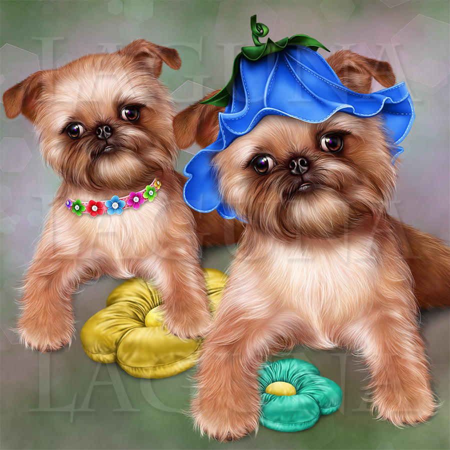 Brussels Griffon Puppy
