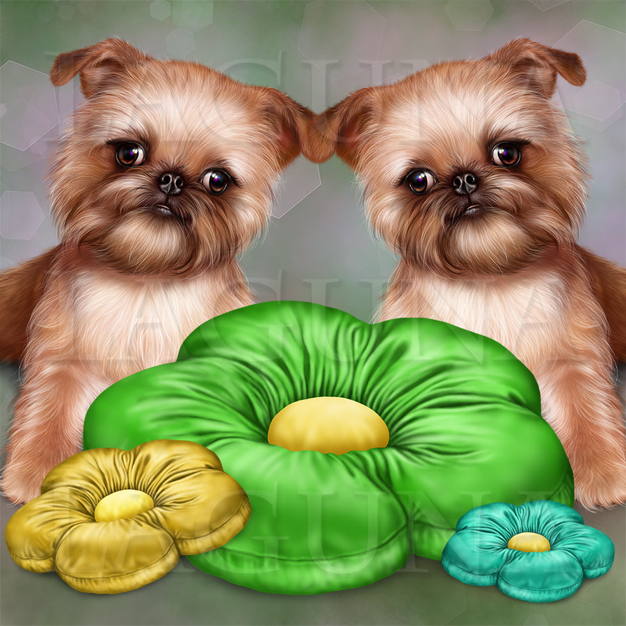 Brussels Griffon Puppy