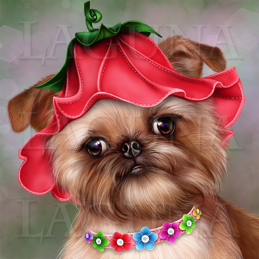 Brussels Griffon Puppy