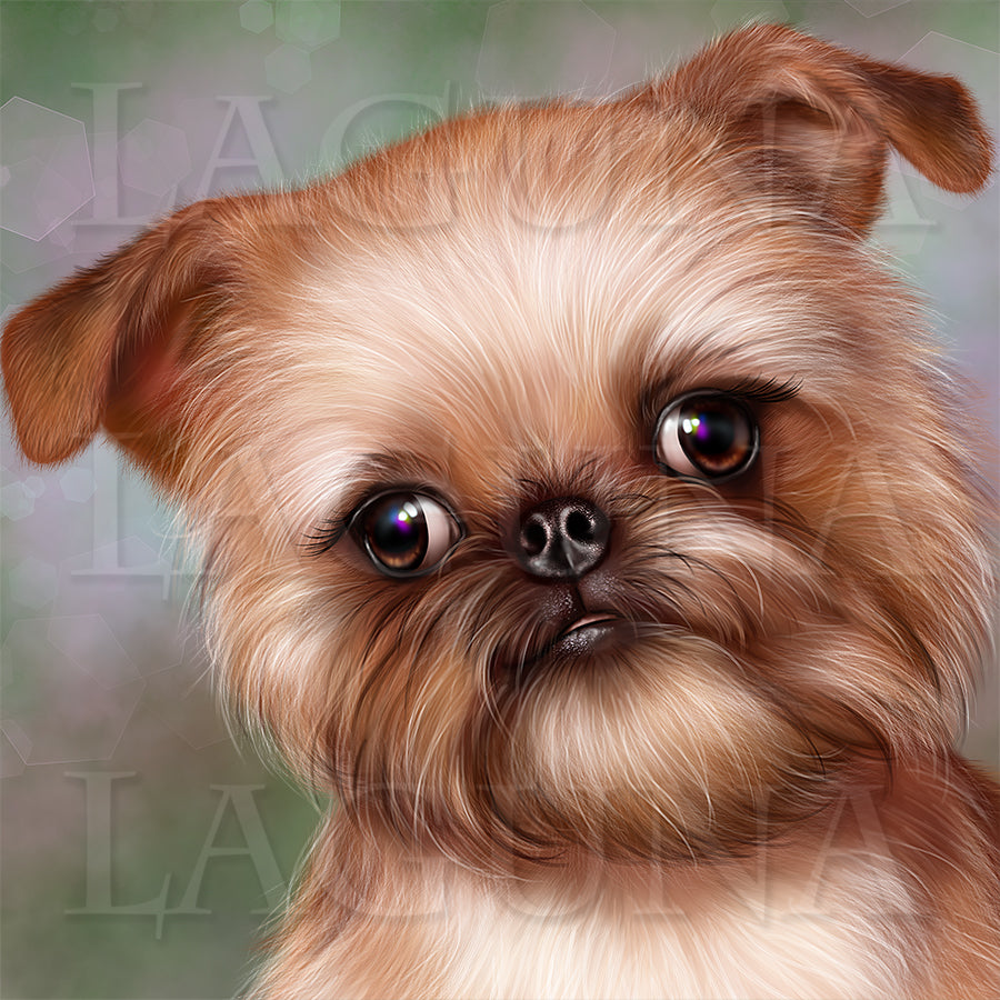 Brussels Griffon Puppy