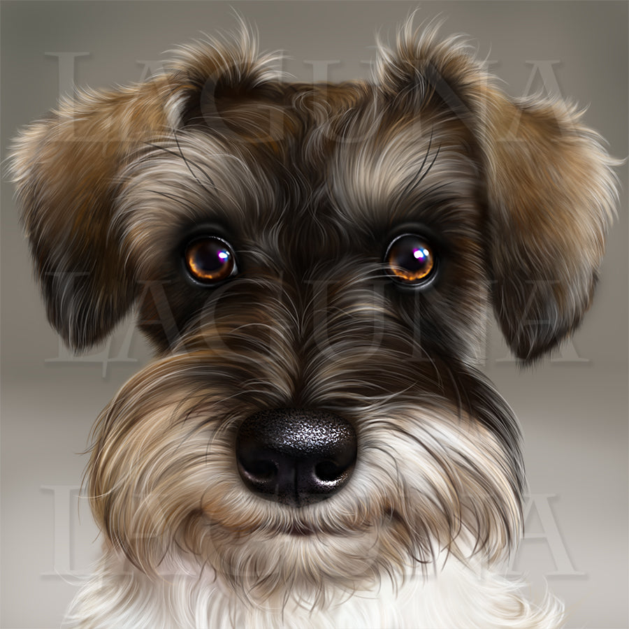 Captain Schnauzer
