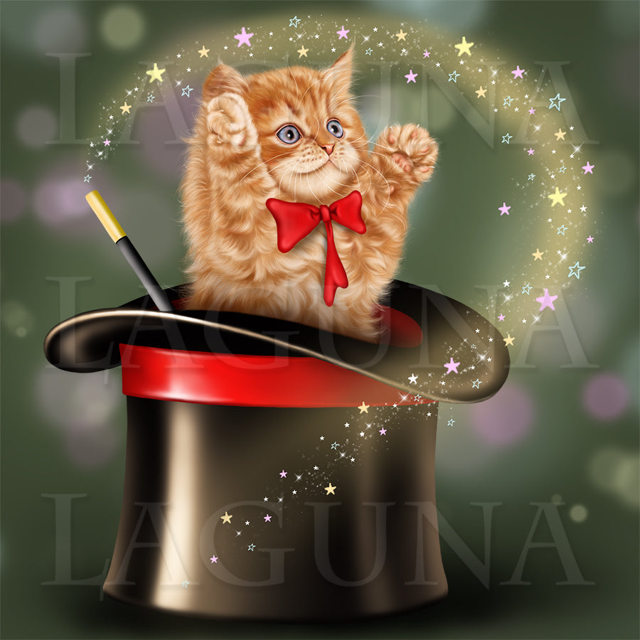 Cat in Hat