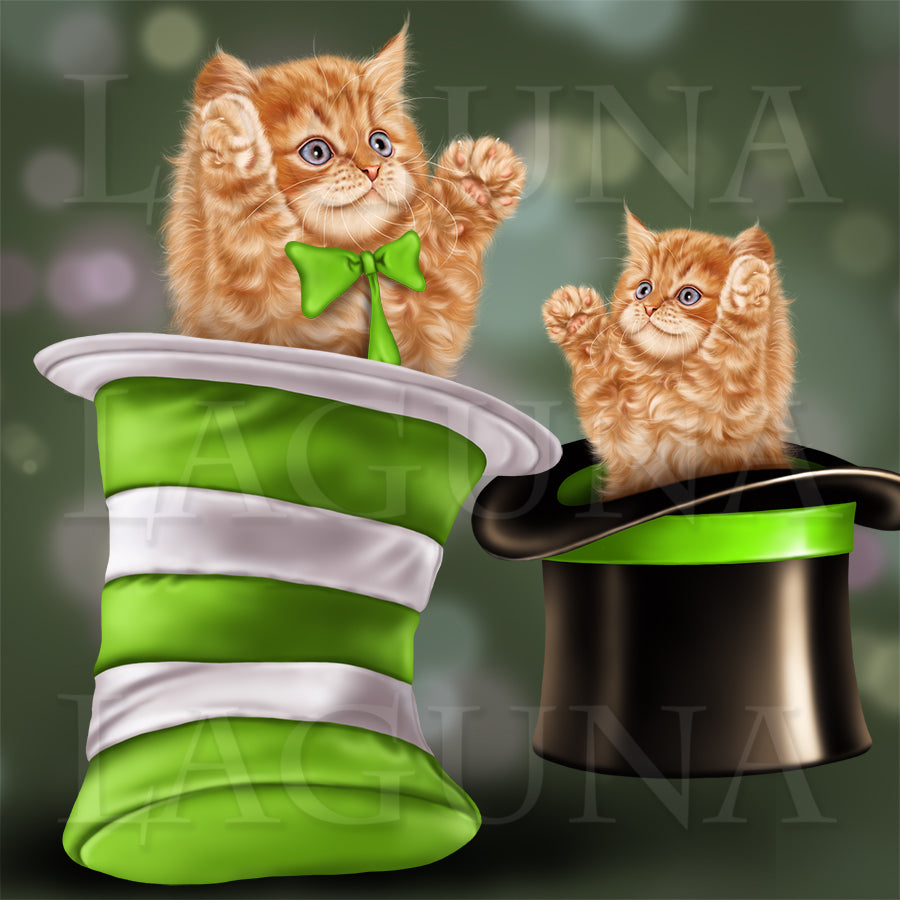 Cat in Hat