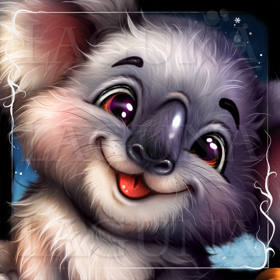 Christmas Koala Sledging