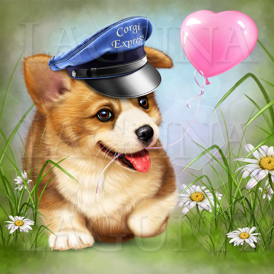 Corgi Express