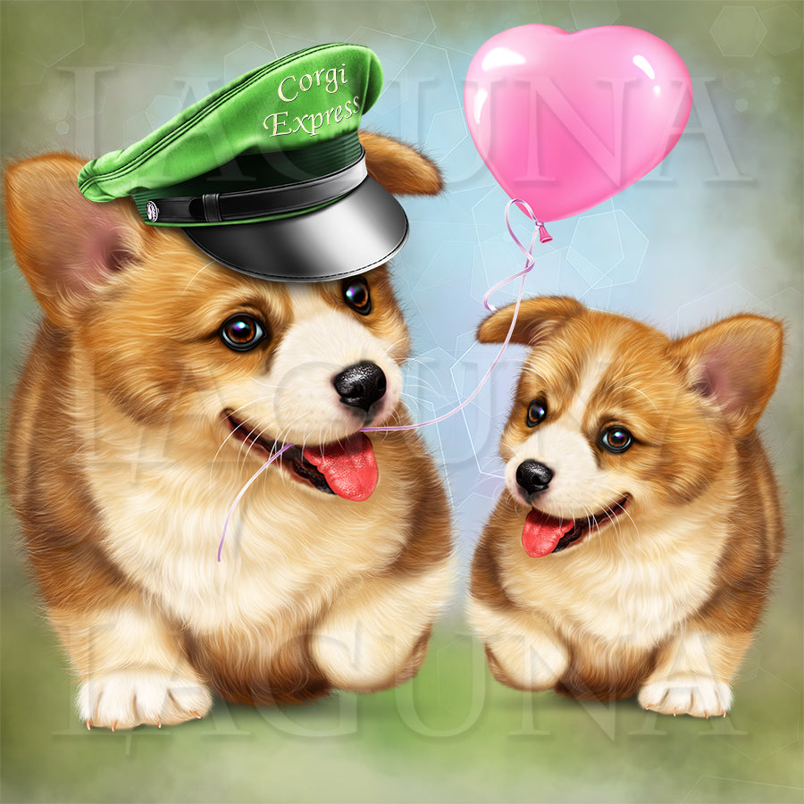 Corgi Express