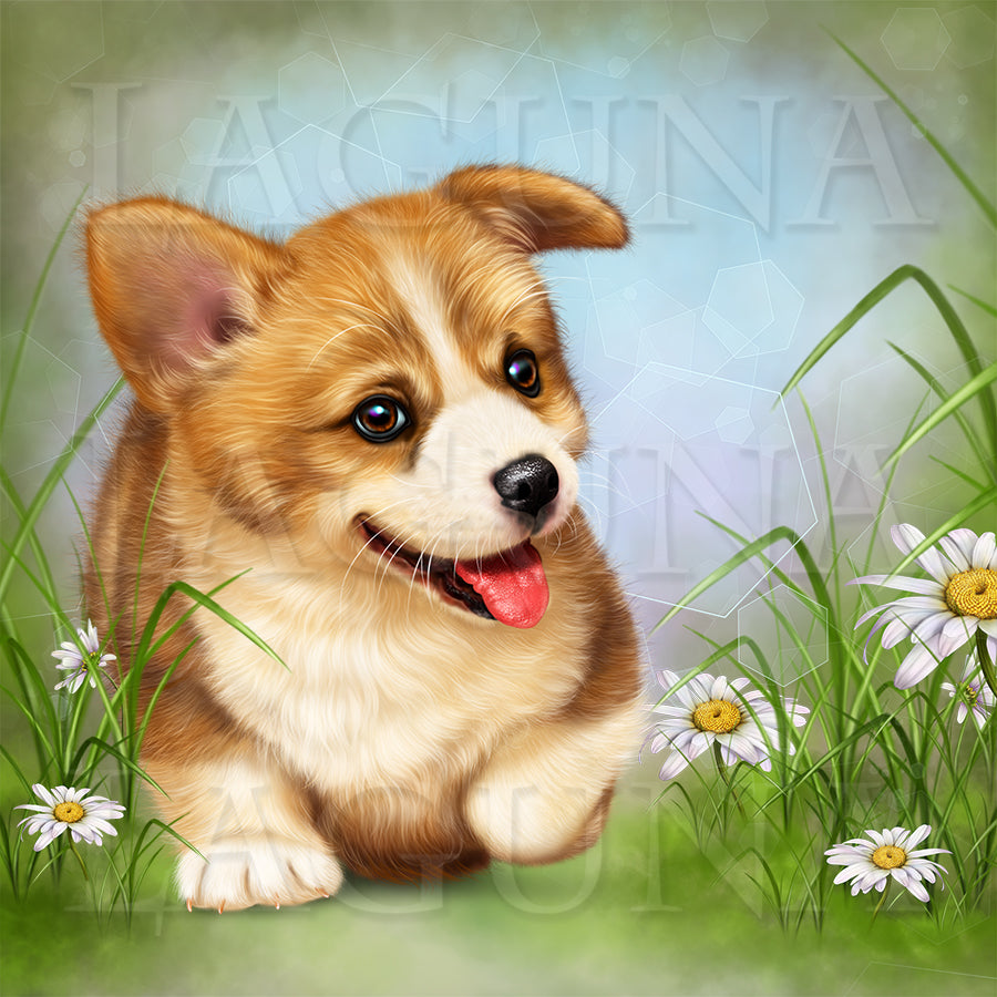 Corgi Express