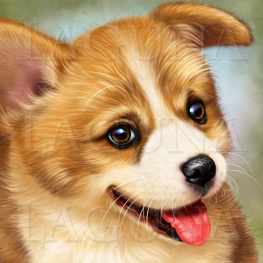 Corgi Express