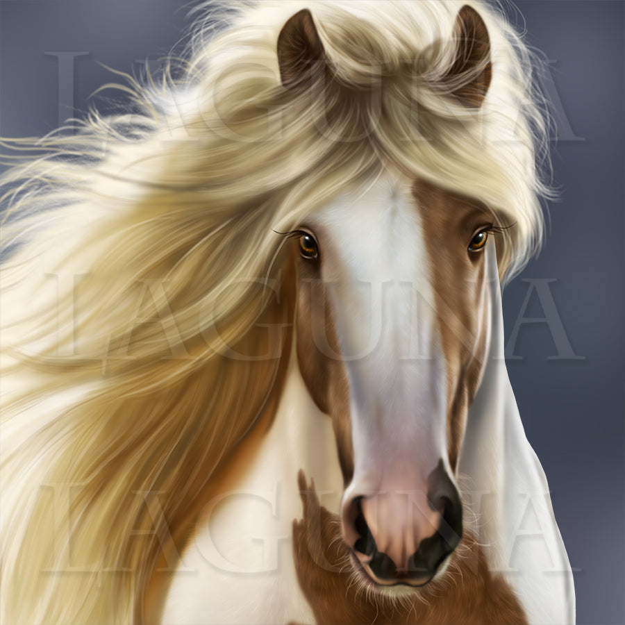 Cowgirl and Pegasus