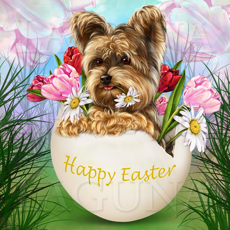 Easter Yorkie