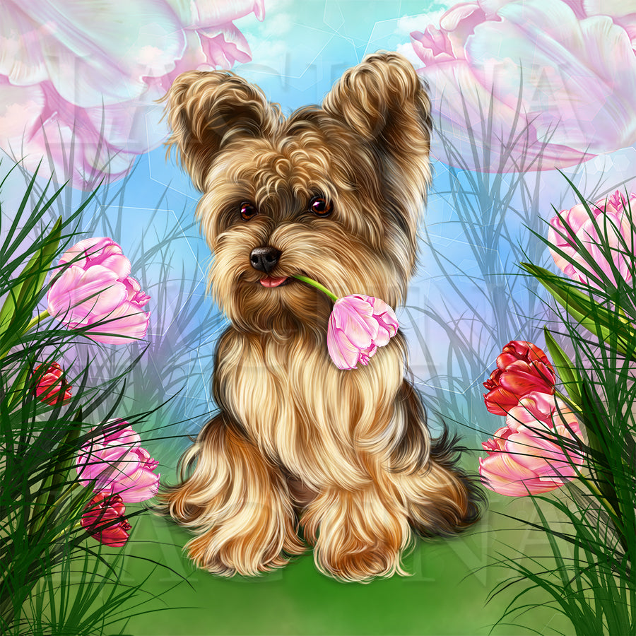 Easter Yorkie