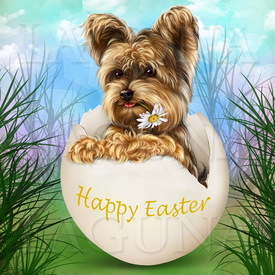 Easter Yorkie
