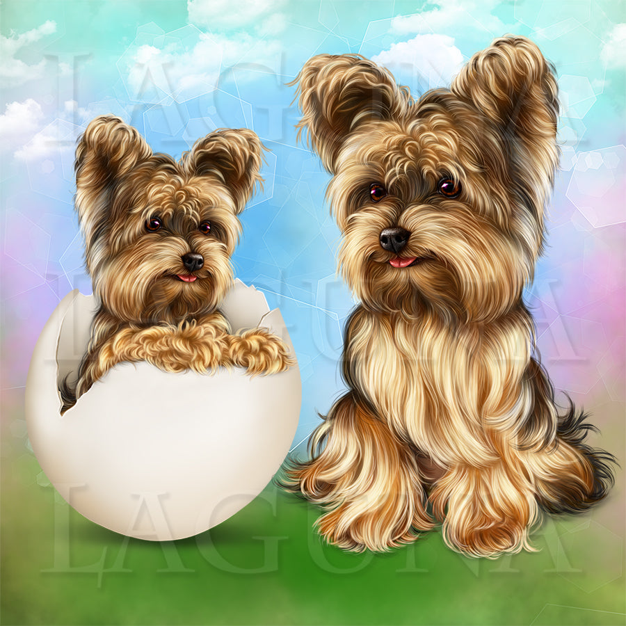 Easter Yorkie