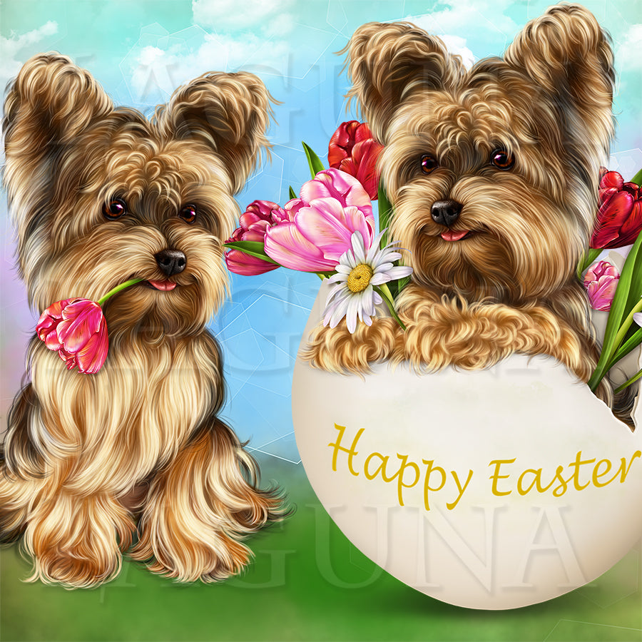 Easter Yorkie