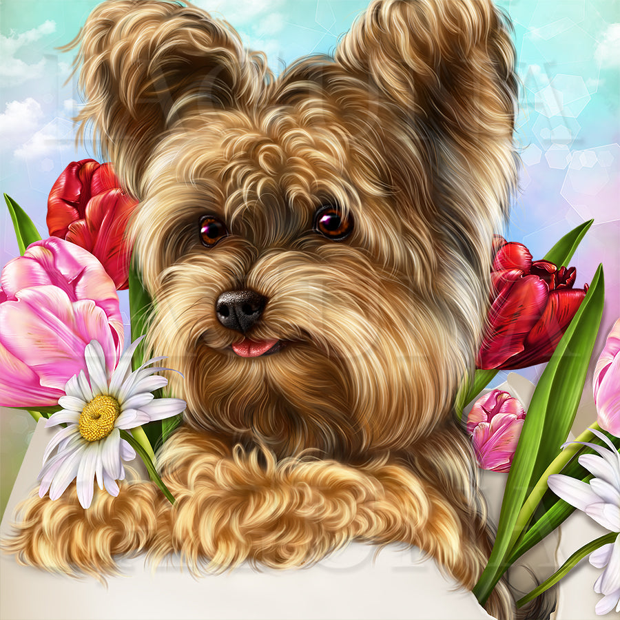 Easter Yorkie
