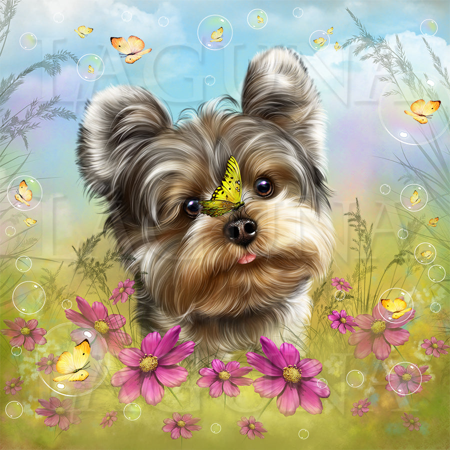 Fairy Yorkie and Butterflies