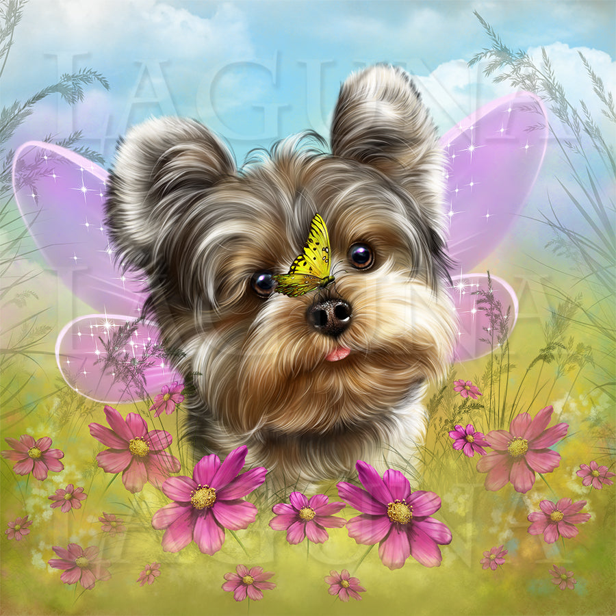 Fairy Yorkie and Butterflies