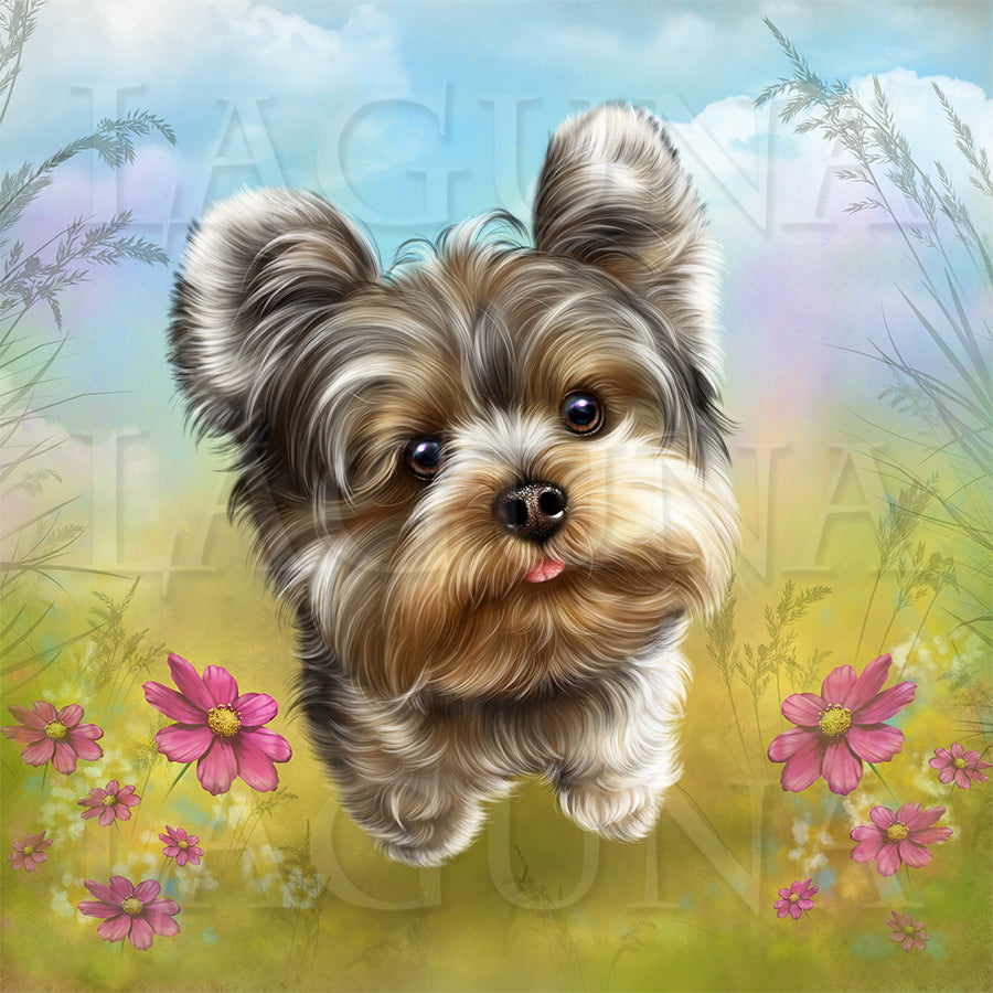 Fairy Yorkie and Butterflies