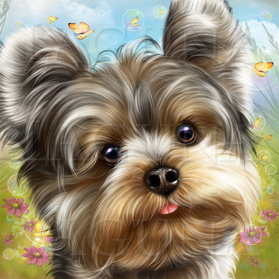 Fairy Yorkie and Butterflies