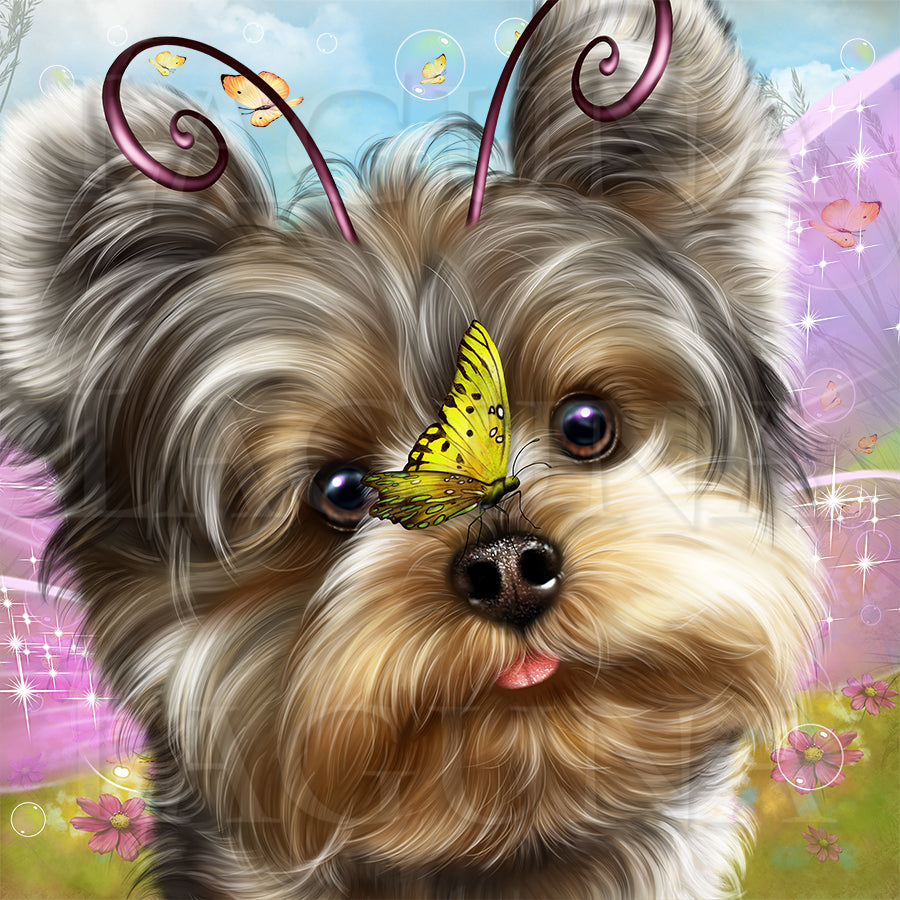 Fairy Yorkie and Butterflies