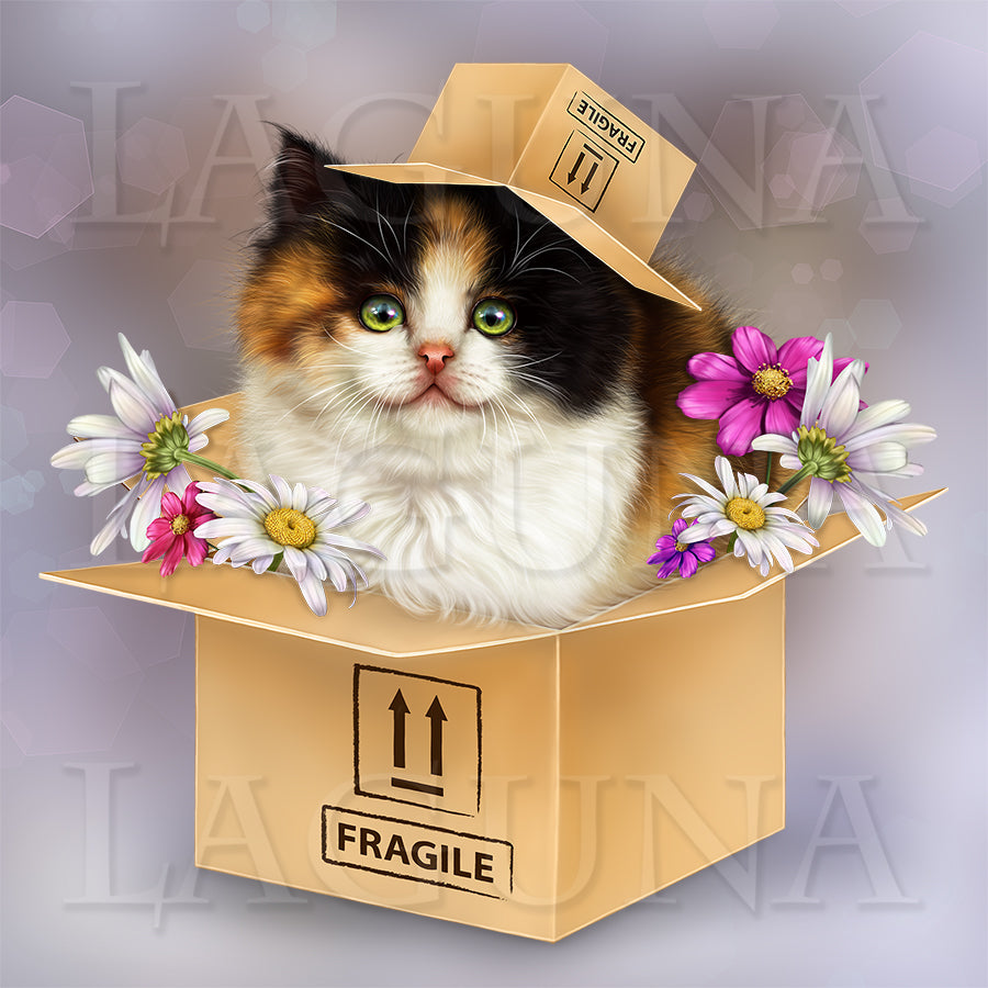 Fragile (Kitten in Box)
