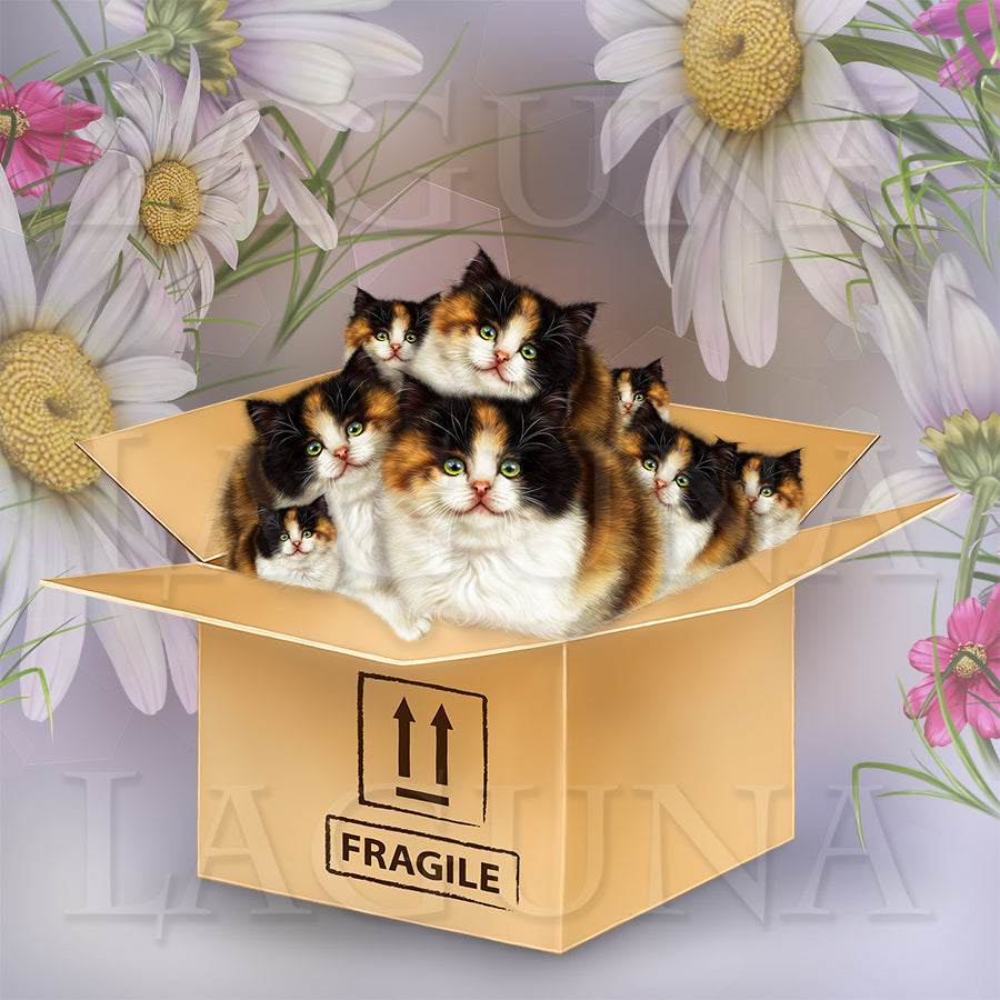 Fragile (Kitten in Box)