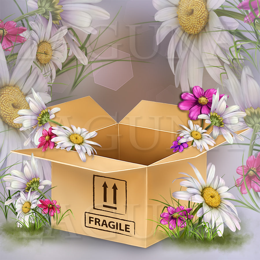 Fragile (Kitten in Box)