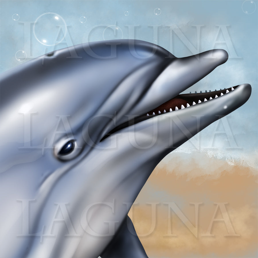 Girl with a Dolphin 2