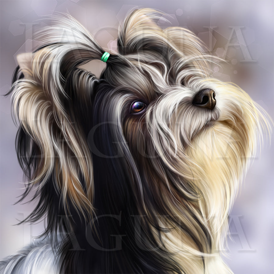 Girl with Biewer Yorkie
