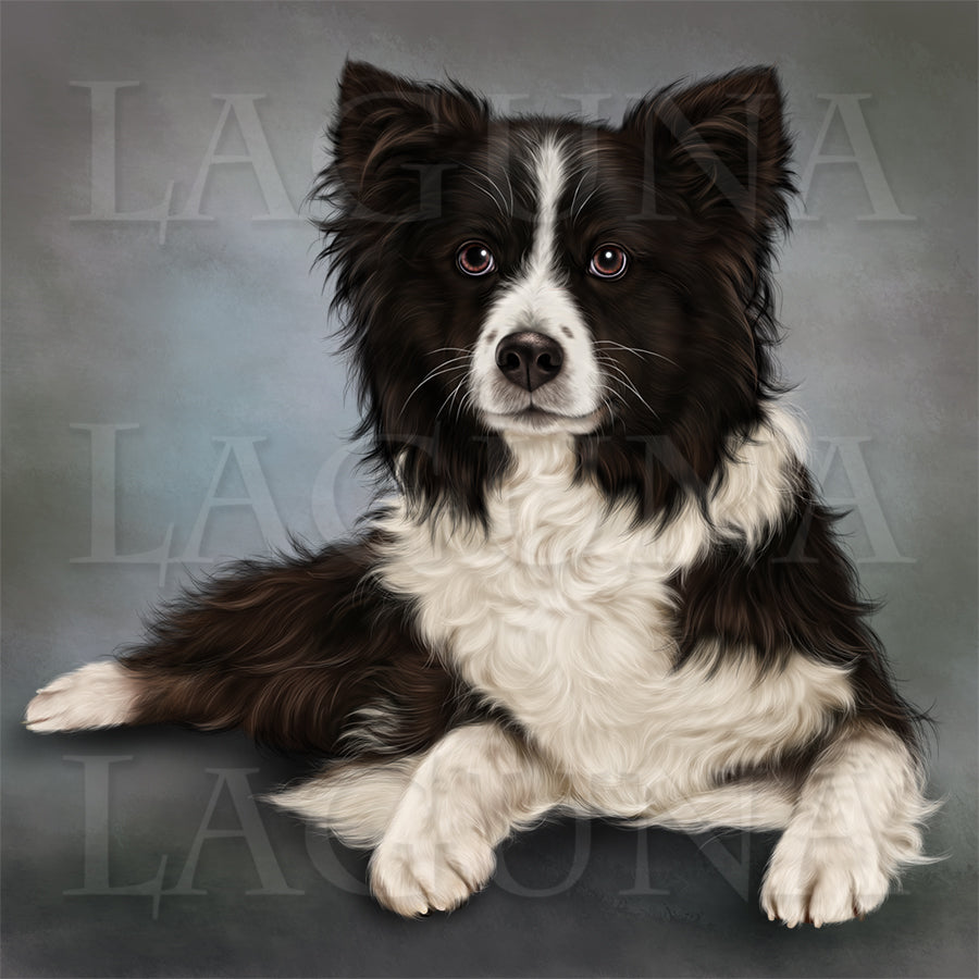Girl with Border Collie